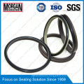 Ad Type Wear Resistance Hydraulic Cylinder Rubber/PTFE Scraper Seal Ring